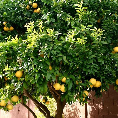 Lemon Tree Donji Seget Exterior foto