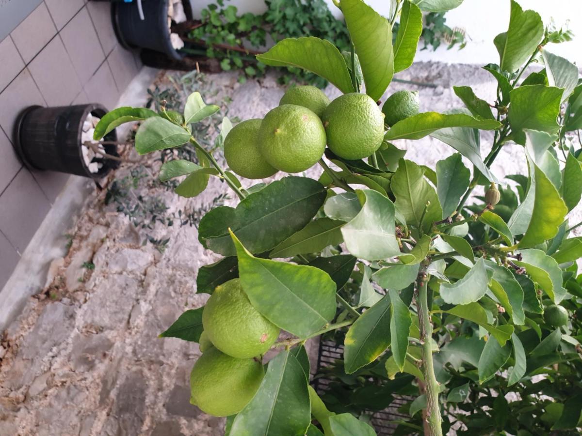 Lemon Tree Donji Seget Exterior foto