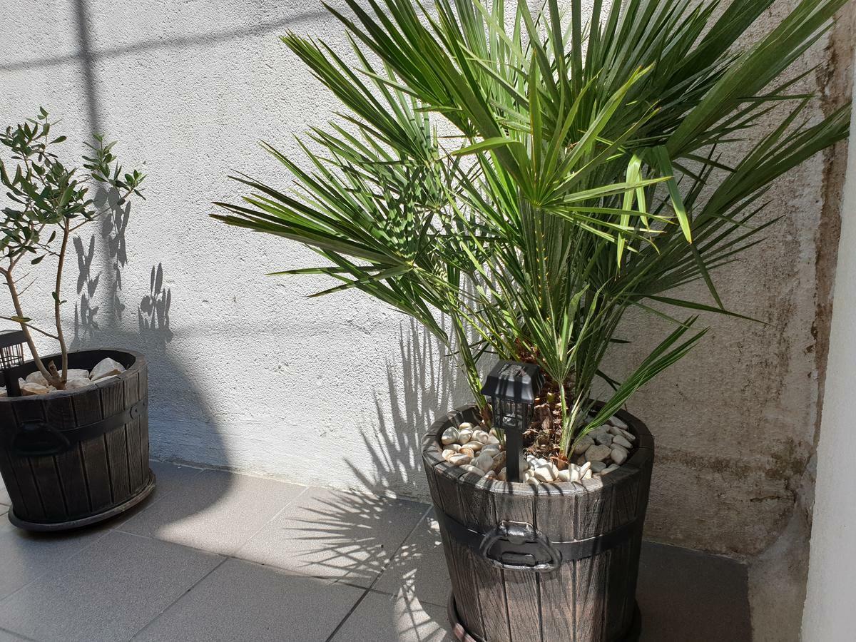 Lemon Tree Donji Seget Exterior foto